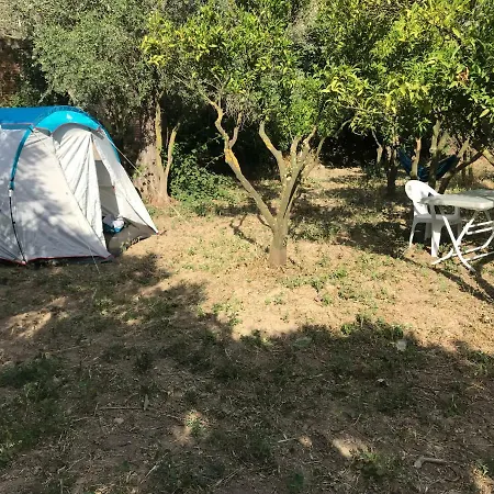 Masali Camping Οργανωμένο κάμπινγκ *