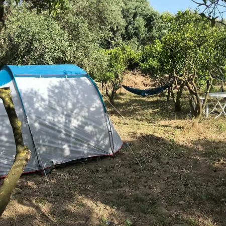 Masali Camping Οργανωμένο κάμπινγκ